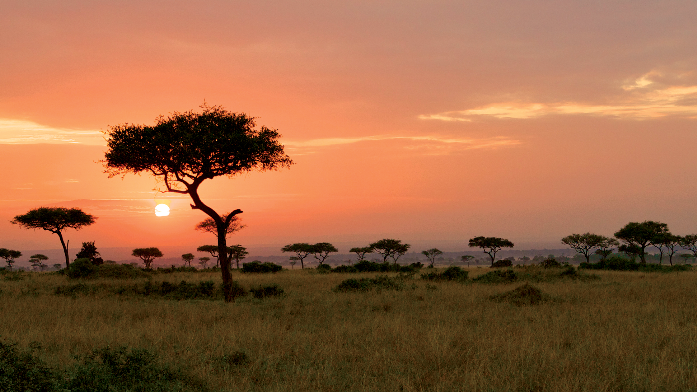 5 Days Tanzania Safaris